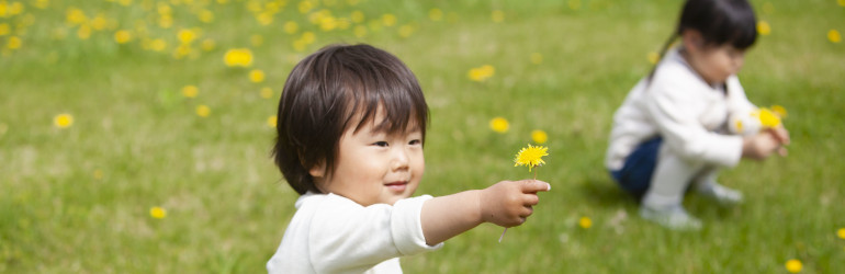 野原で花を摘む子ども